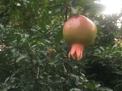 -1点点(河南中路店)