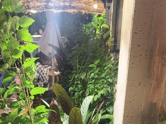-贰醒·私房小院烧烤 (太古里店)