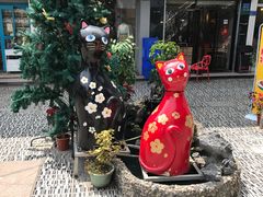 -猫咪博物馆(顶澳仔猫街店)