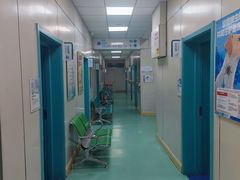 -北京观赏动物医院·24小时大型综合·猫专科·异宠专科