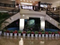 -虾饺妹·酒家(金碧店)