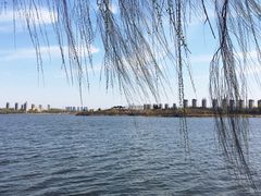 -丁香湖公园