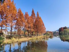 -浙江农林大学(东湖校区)