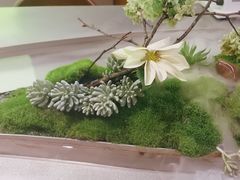 -荷风细雨·中国茶宴(世纪大道店)