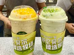 -茉酸奶(春熙路店)