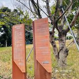 周末过来溜娃爬山棒棒的，唯一的缺点就是交通不太便利