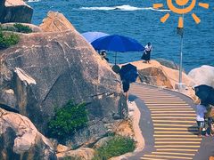 -广东惠东海龟国家级自然保护区