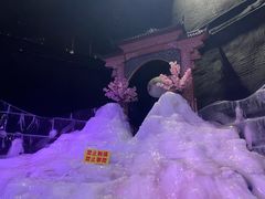 -石家庄市植物园