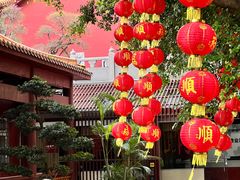 -深圳仙湖植物园
