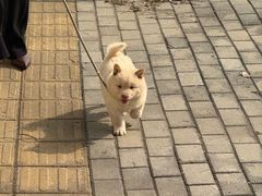 -联合动物医院(光谷诊疗中心)