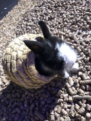 点击看大图 -酷嗒动物文化乐园(cutezoo西溪乐天城店)