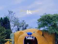 -东方熊牧场