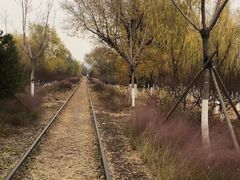 -永定河休闲森林公园