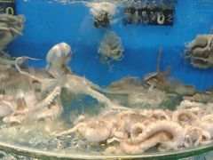 -沿海渔家院海鲜烧烤·东北菜(东戴河店)