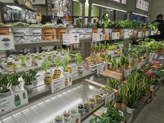 -鹿岛会员店(熙地港店)