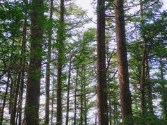 -白草畔自然风景区