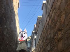 -清风小镇闯关东影视基地