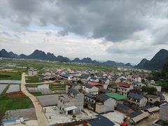 -会仙湿地