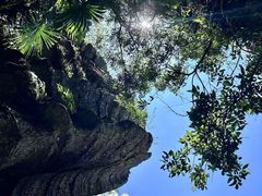 -梭布垭石林景区