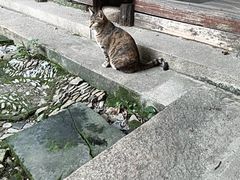 -小雅青年旅舍(平江路店)