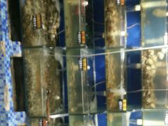 -雅逸居海鲜小厨