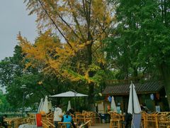 -成都市活水公园