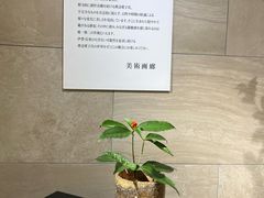 -西武百货(池袋总店)