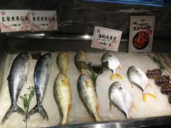 -广东道至正餐厅(区庄店)
