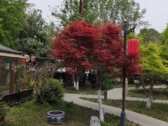-后海彼岸花园餐厅