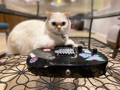 -MusicLife音乐(浦东校区)