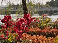 -泰山风景名胜区-虎山公园