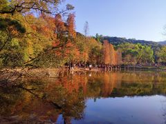 -广州市白云山风景名胜区