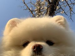 -冠德石油威程加油站