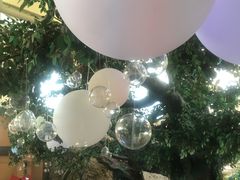 -杭州浪浪浪水公园