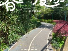 -中山公园