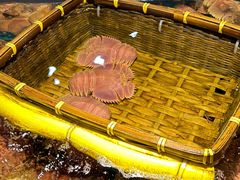 弹弹虾-拉完海鲜大排档(温岭店)