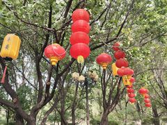 -二一九公园