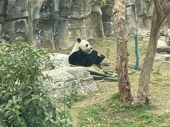 -武汉动物园