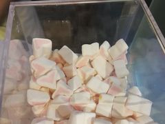 -狐狸和向日葵(北京路店)