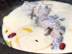 鲜潭蒸汽石锅江团鱼-鲜潭蒸汽石锅鱼(五道口购物中心店)
