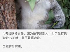 -呷哺呷哺(哈尔滨道里凯德广场店)