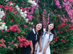 -杭州城北体育公园