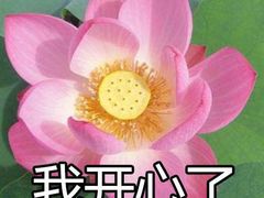 -小龙大肉面馆