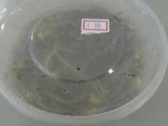 -何记酿皮店(西流湾店)