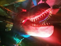 -恐龙探索乐园(磁器口店)