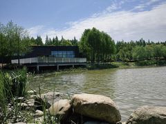 -春花秋色城市公园