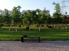 android_upload_pic-南关北海公园