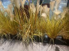 -千滋百味自助海鲜烤肉(布吉景华店)