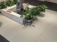 -钱记·乡野菜(紫荆花路店)