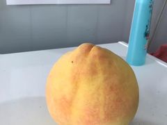 -樂桃源奉贤黄桃种植采摘基地